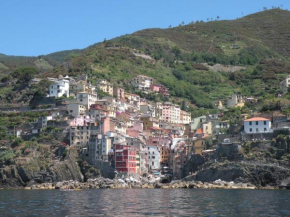ALLA RIPA di RIO